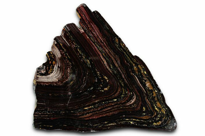 Polished Tiger Iron Stromatolite Slab - Billion Years #353233